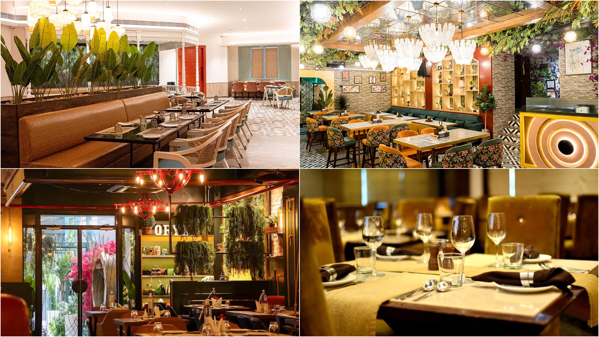Good plates, good vibes | 11 fine-dining spots in Kanpur that are pure luxury on a plate
