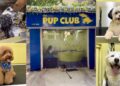 Inside The Pup Club, Mumbai’s new wellness-led space for pampered pooches