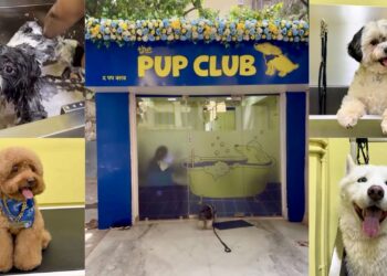 Inside The Pup Club, Mumbai’s new wellness-led space for pampered pooches