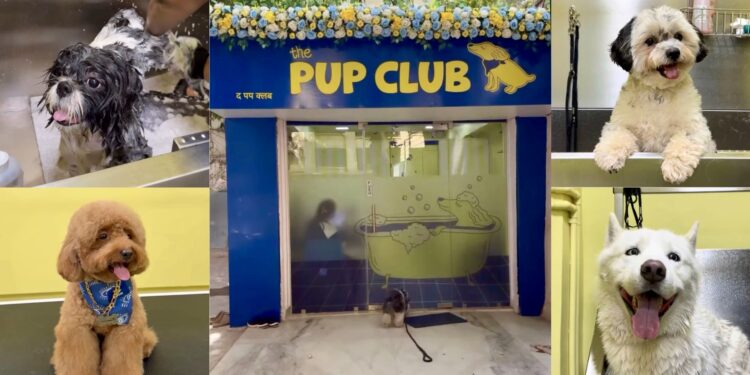 Inside The Pup Club, Mumbai’s new wellness-led space for pampered pooches