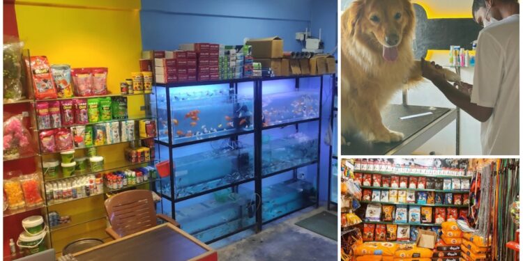 9 Pet Stores in Kanpur that your pet would bookmark if they could