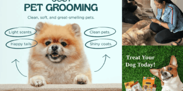 9 Pet Stores in Kanpur that your pet would bookmark if they could