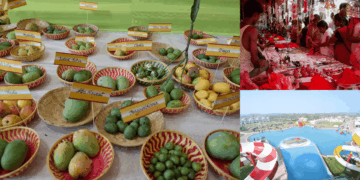 You can’t skip summer, but you can make it this good; 11 things to do in Lucknow