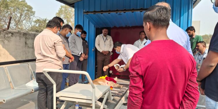Ahmedabad’s pet crematorium helps you give your beloved companion a dignified farewell