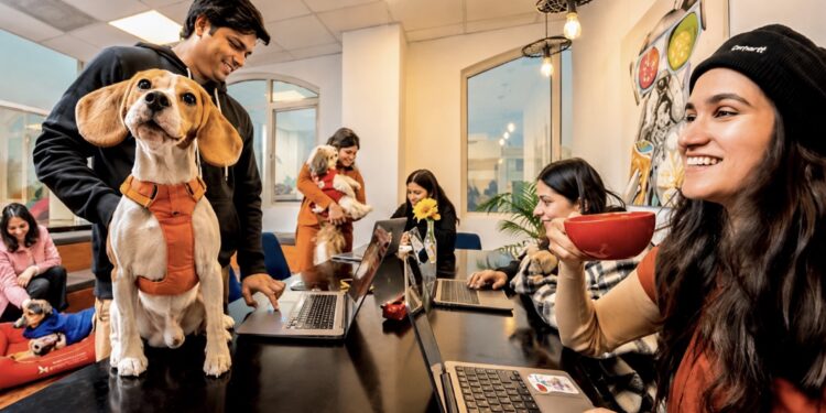 Mumbai BMC launches ₹61,500/month fellowship for fresh graduates